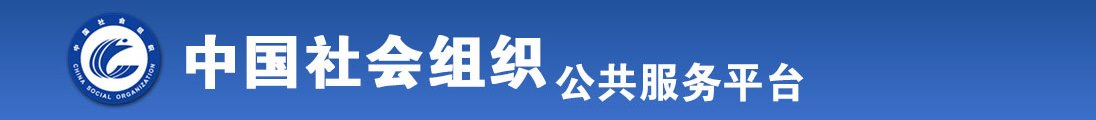 用你的大几把艹我全国社会组织信息查询